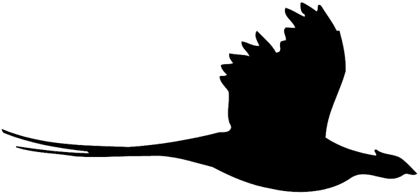 Soaring pheasant silhouette vinyl sticker. Customize on line. Hunting 054-0149